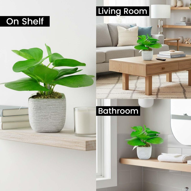 Go Hooked نبات أخضر صناعي مع وعاء سيراميك 20 سم | نبات داخلي زخرفي لتزيين المنزل، مكتب العمل، غرفة المعيشة، غرفة النوم وزينة الطاولة - Image 4