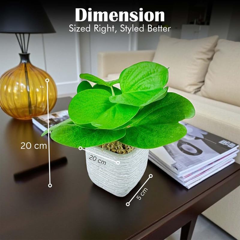 Go Hooked نبات أخضر صناعي مع وعاء سيراميك 20 سم | نبات داخلي زخرفي لتزيين المنزل، مكتب العمل، غرفة المعيشة، غرفة النوم وزينة الطاولة - Image 5