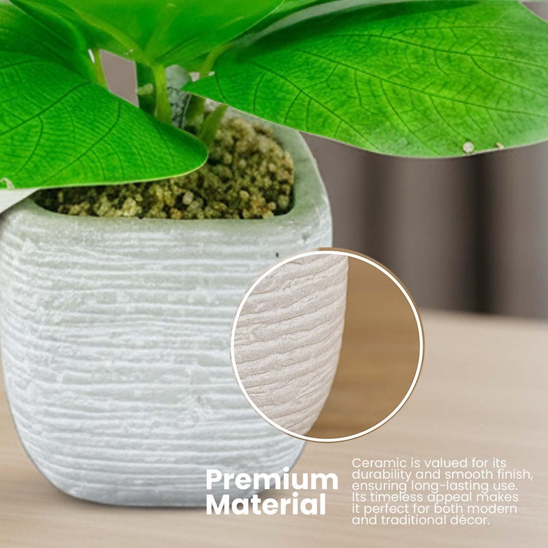 Go Hooked نبات أخضر صناعي مع وعاء سيراميك 20 سم | نبات داخلي زخرفي لتزيين المنزل، مكتب العمل، غرفة المعيشة، غرفة النوم وزينة الطاولة - Image 3