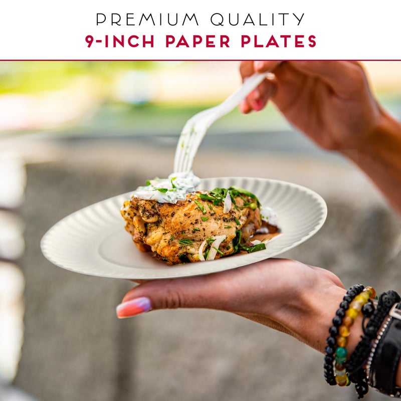 Alitte 9-Inch Disposable Paper Plates - 500 Count - Bulk Pack of Uncoated Paper Plates for Everyday Use - Dinnerware for Meals, Parties And Picnics - Image 5