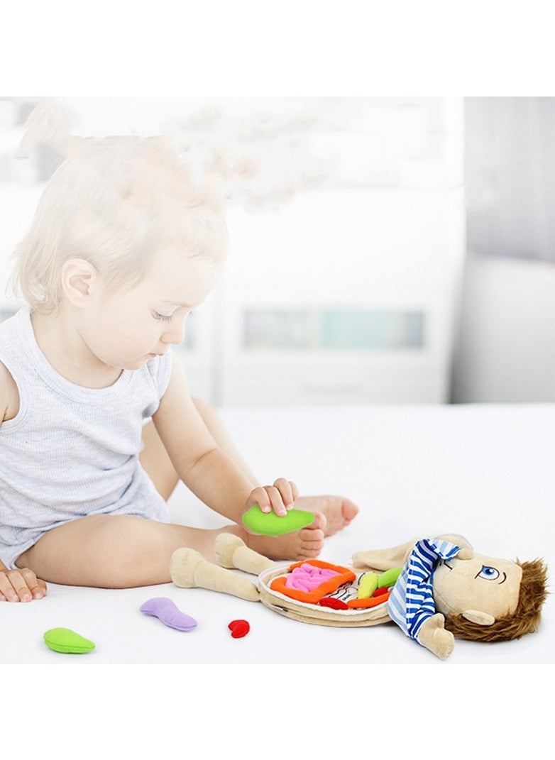 DUNISO - Early Learning Organ Toys, Body Organ Stuffed Toy for Students, School Science Teaching Tools for Teacher, 2 in 1 Kids Educational Toys and Accompany Toys - Image 1
