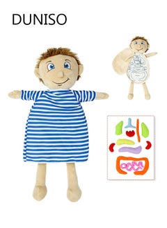 Early Learning Organ Toys, Body Organ Stuffed Toy for Students, School Science Teaching Tools for Teacher, 2 in 1 Kids Educational Toys and Accompany Toys