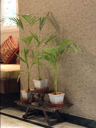 VDIX Wood Ladder Shelf,Foldable Plant Flower Stand,3 Tier Indoor Outdoor Plant Display Shelf,Balcony Flower Shelf Pot Rack,Free Standing Vintage Wood Stand with Shelves,Brown - Image 4