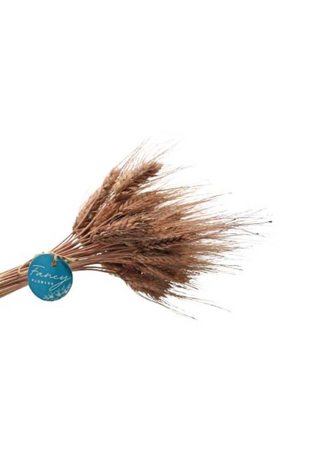 Generic Fancy Dried Wheat Grass Bouquet Natural Dried Flower  - Image 4