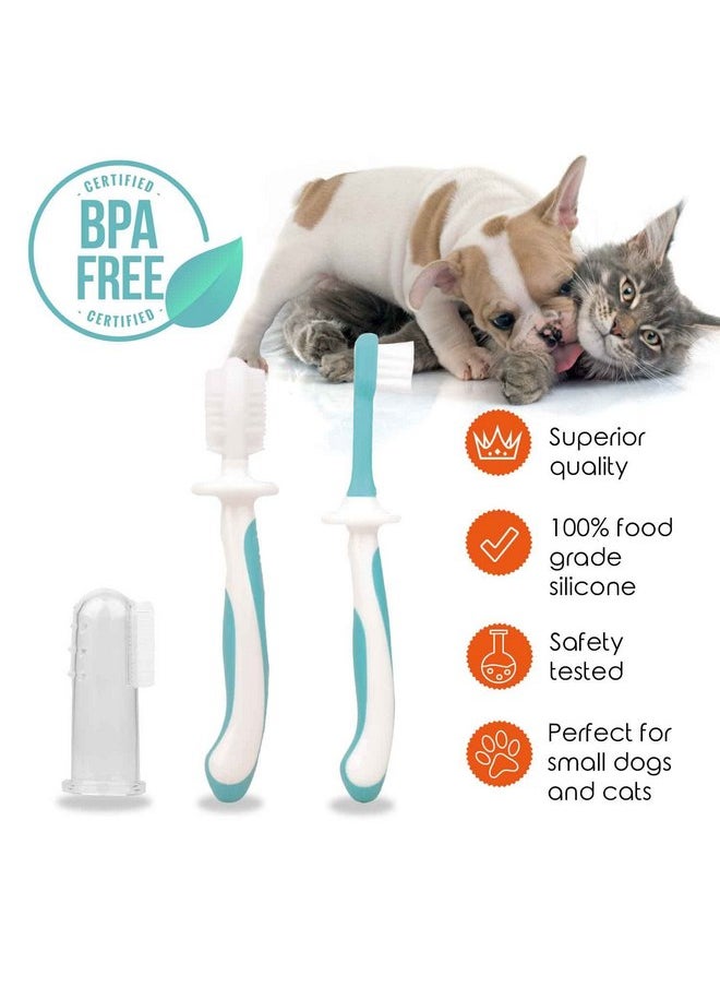 Cherish Baby Care - Cherish Pet Care Dog Tooth Brushing Kit (3pcs) - Dog Finger Toothbrush, Double-Sided Toothbrush, Small Dog Toothbrush, Dog Teeth Cleaning, Puppy Tooth Brushing Kit, Small Dog Tooth Brushing Kit - Image 1