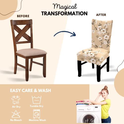 BRIDA ® Polyester and Polyester Blend Stretchable Floral Printed Elastic Dining Chair Covers (Beige Flowers, Standard) - Image 5