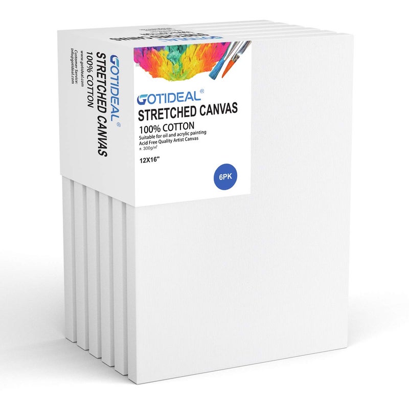 GOTIDEAL Stretched Canvas 12x16 Inch Set of 6 Primed White  100 Cotton Artist Canvas Boards for Painting Acrylic Pouring Oil Paint Dry  Wet Art Media