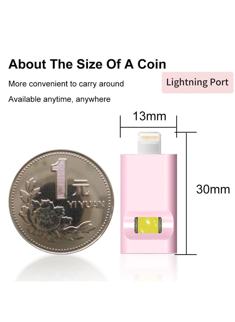 Generic Portable Nail Polish Dryer Mini Nail Lamp with Phone Interface Lightning Port, Fast-Dry Handheld UV LED Nail Light  - Image 4