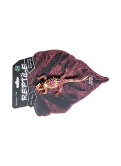 Galaxy Toys Galaxy Thorny Dragon Toy - Realistic Moloch Horridus Figurine with Spiky Appearance | Australian Lizard Model with Water-Collecting Features | Detailed Reptile Toy for Kids  - Image 1