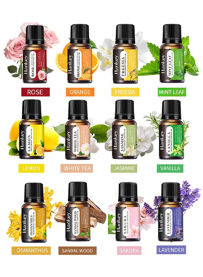 HANKEY Essential Oils Set 12 Pack – Rose, Mint, Sweet Orange, White Tea, Freesia, Jasmine, Sandalwood, Osmanthus, Vanilla, Lemon – Aromatherapy Essential Oils for Diffusers, Humidifiers, Home Fragrance, Candle Making & Relaxing Scent Oils (10mL) - Image 2