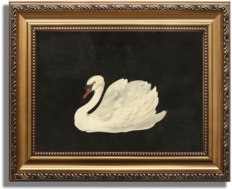 KBKBART Vintage Framed Wall Art for Living Room White Swan Vintage Painting Canvas Wall Art Prints for Bathroom Wall Decor Classical Gold Framed Animal Vintage Wall Decor Aesthetic for Bedroom 9x12 - Image 2