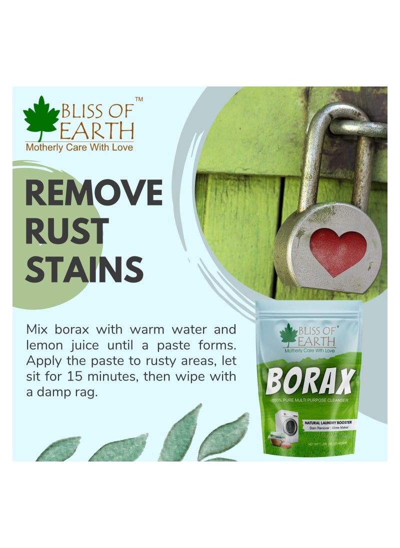 BLISS OF EARTH Bliss of Earth American Borax Detergent Booster Powder Slime Activator Multipurpose Cleaning & Stain Remover Powder Ant Killer 100% Pure Natural Sodium Borate Powder 4x453gm  - Image 2