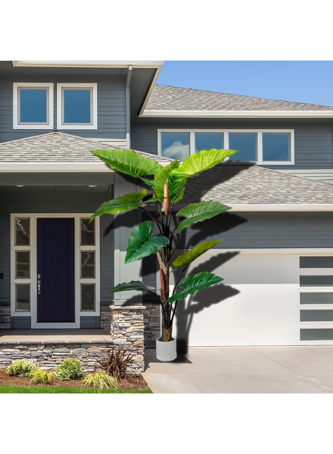 MirageBotanics Artificial banana Tree - Faux banana Plant with 11 Realistic Leaves in White Planter, Indoor Outdoor Fake Tree for Home Office Living Room Decor, Housewarming Gift - Image 2