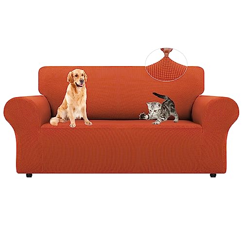 LURKA Stretch Loveseat Sofa Slipcovers 1 Piece Couch Covers for Sofa Furniture Protector Full Sofa Covers with Elastic Bottom for Kids and Dog Medium Pumpkin