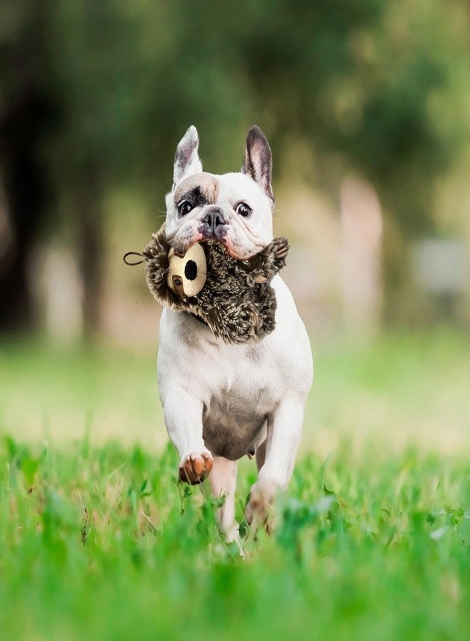 مالتي بيت لعبة كلب على شكل كسلان مع صفارة | لعبة متوسطة الحجم للكلاب الصغيرة | لعبة قطيفة للكلاب | متعددة الألوان | 6 بوصات | مرخصة رسميًا - Image 4