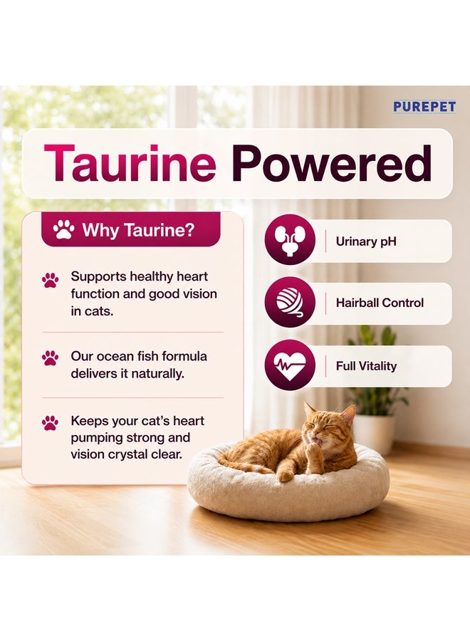 PUREPET Dry Cat Food  Tuna & Salmon - Image 5