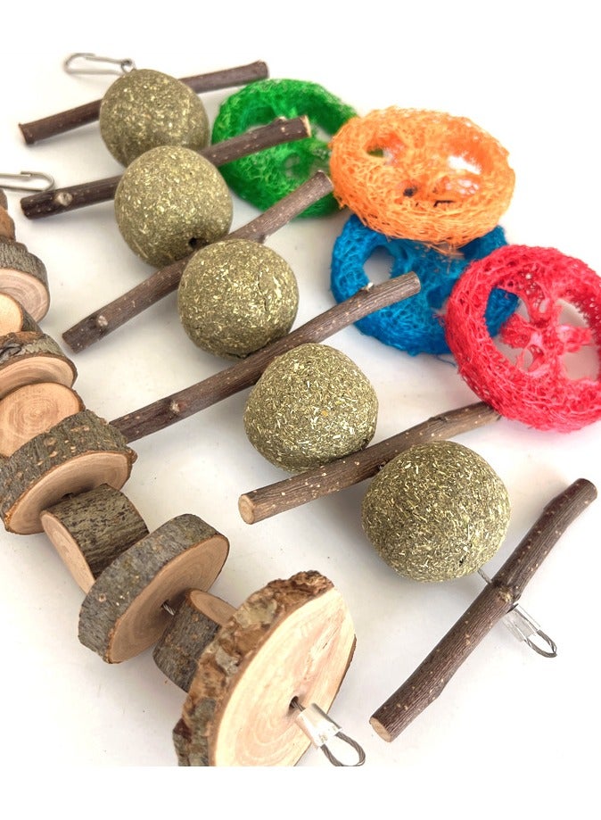 21pcs Bunny Chew Toys for Teeth, Natural Rabbit Toys Apple Wood Grass Timothy Sticks Chew and Treat for Guinea Pigs Hamster Chinchillas - Image 3