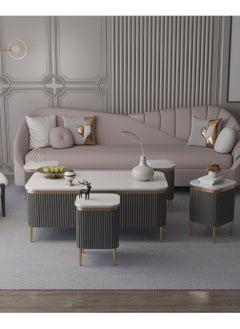 Luxury Coffee Table Set – 5 Pieces, Charcoal Gray Design with Gold Accents & Marble-Like Surface, Main Table with a Length of 120 cm, Width of 60 cm, and Height of 50 cm, and Four Side Tables with a Length of 30 cm, Width of 30 cm, and Height of 50 cm - pzsku/Z9F68B74FF709F1DFCE53Z/45/_/1737369729/6869559d-d5b8-4e59-8160-8689ece37749