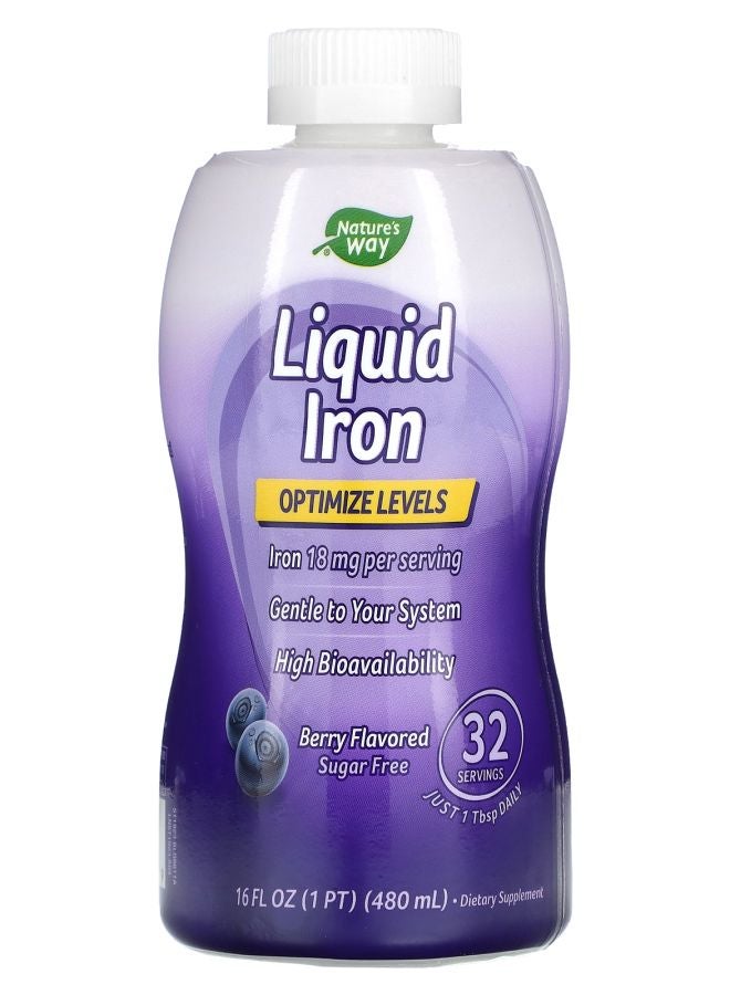 Nature's Liquid Iron Berry 16 fl oz (480 ml) 