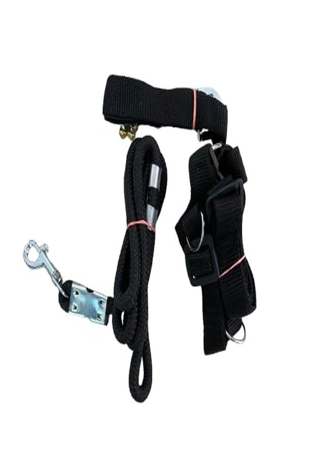Magical Mylo Dog Harness,Lease and Collar Dog Harness & Leash (Small, Black) - Image 2