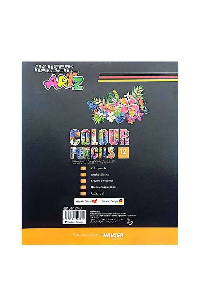 HAUSER 12 PIECES COLOUR PENCILS JUMBO METALLING - Image 2