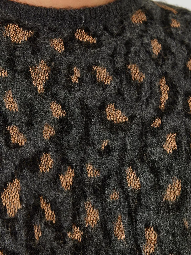 Bianco Lucci LUCCI Leopard Print Crew Neck Sweater