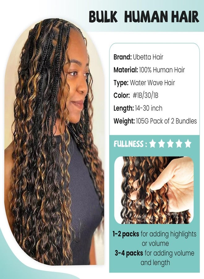 Ubetta Auburn Brown Highlights Braiding Human Hair 2 Bundles 100G Deep Water Wave Curly Human Hair Bulk Boho Hair for Braiding, 22 Inch No Weft 12A Curly Braiding Hair for Boho Braids Human Braiding Hair - Image 2