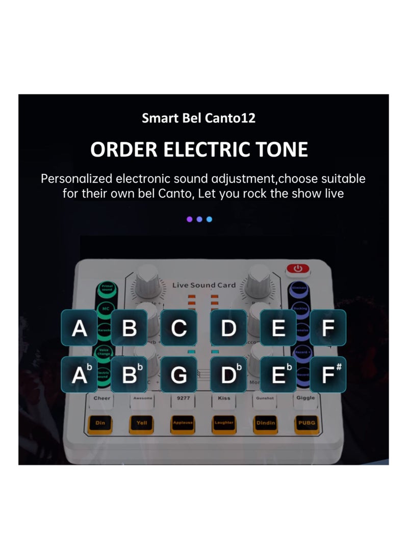 Captaintech Live Sound Card, Mini Audio Mixer Board for PC Computer Phone, Voice Changer Sound Card Fit for PS4, Xbox, Switch, DJ Mixer, Podcast for Music Recording Karaoke Singing Broadcast, Recording Card  - Image 5