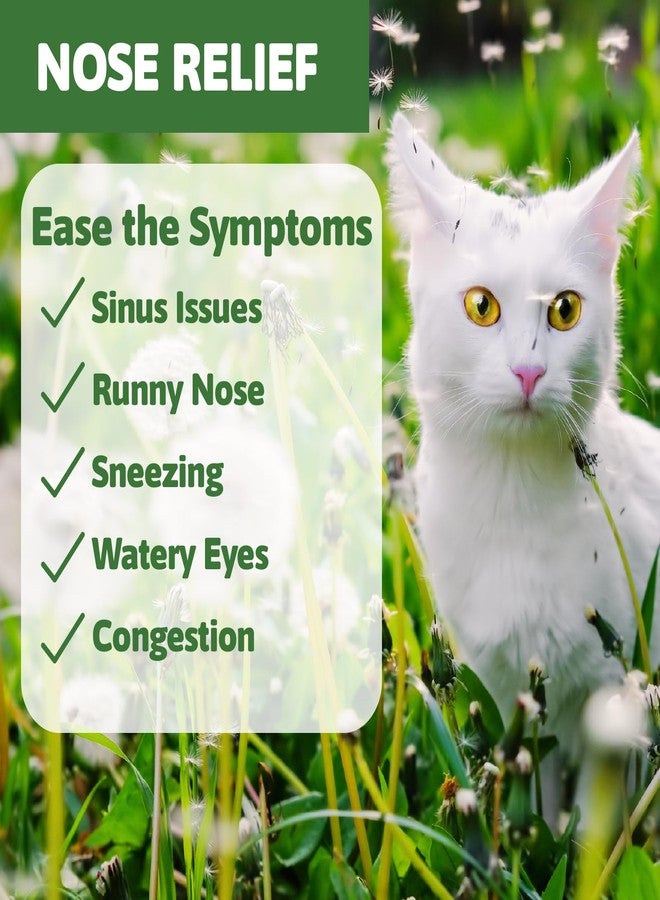 VetaSure Cat Sneezing Treatment, Feline Nasal and Sinus Supplements, Homeopathy Powder Formula, 100g - Image 3