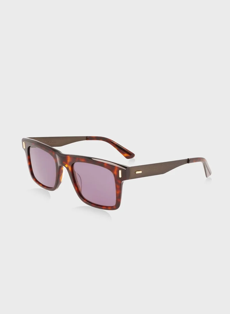 CALVIN KLEIN Wayfarers Sunglasses