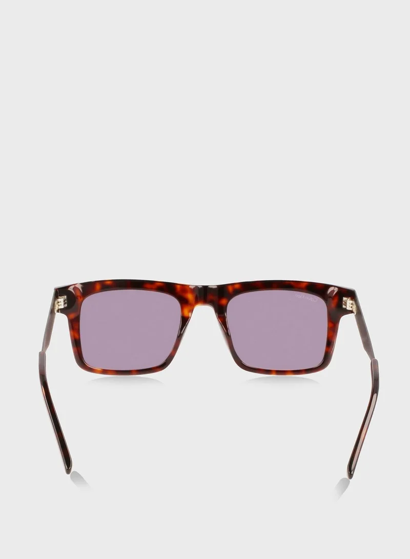 CALVIN KLEIN Wayfarers Sunglasses
