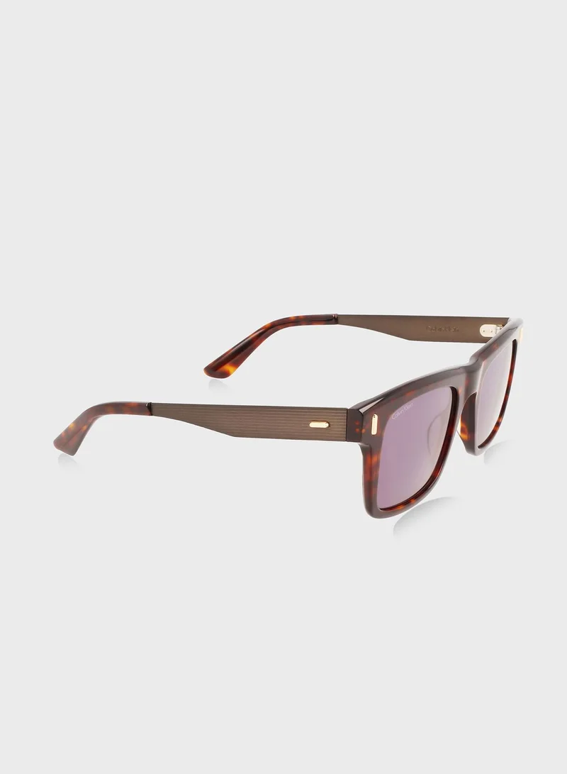 CALVIN KLEIN Wayfarers Sunglasses