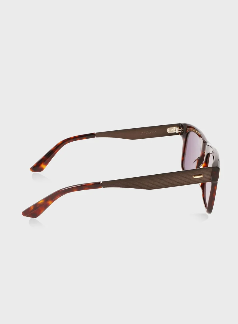 CALVIN KLEIN Wayfarers Sunglasses