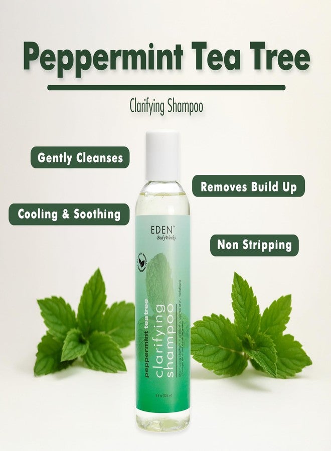 EDEN BodyWorks Peppermint Tea Tree Shampoo | Clarifying Shampoo for Curly Hair | Perfect for Build Up Cleansing | 8oz - Image 3