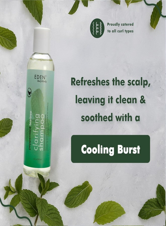 EDEN BodyWorks Peppermint Tea Tree Shampoo | Clarifying Shampoo for Curly Hair | Perfect for Build Up Cleansing | 8oz - Image 4