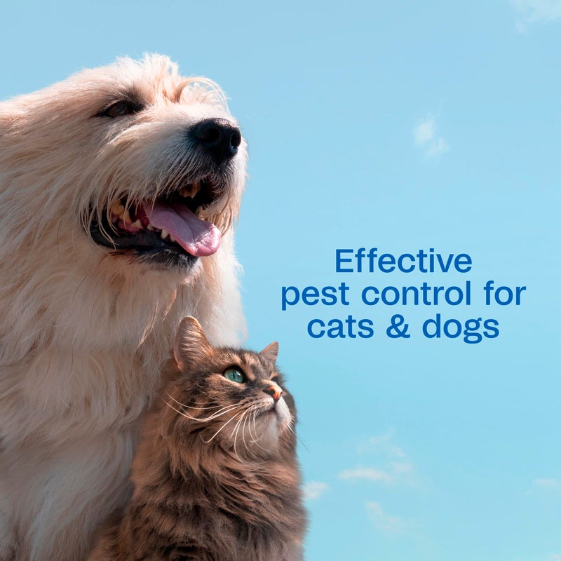 ADAMS Plus Flea & Tick Dog and Cat Spray, Kills Fleas, Ticks and Mosquitoes, 16 fl oz - Image 4
