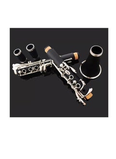 Megarya Megarya High Grade Professional B Flat Ebony Clarinet CLK4190  - Image 2