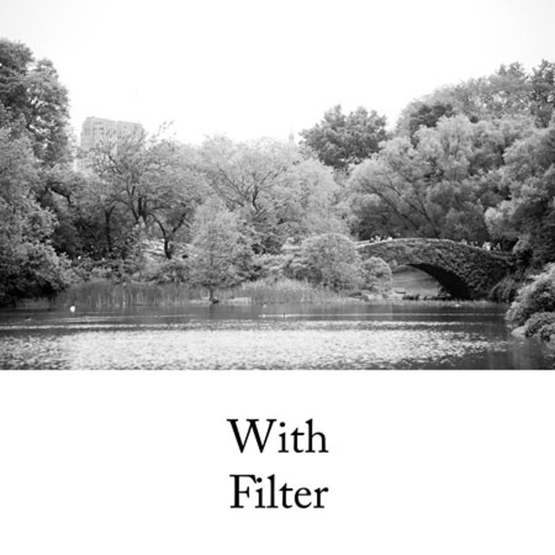 HOYA HMC K2 49mm Lens Filter (Yellow)â€“ Tonal Enhancing Camera Filter for B&W Photography with Slim Aluminum Frame, Multi-Coated Optical Glass, Reduces Flare & Ghosting, Improves Contrast & Clarity - Image 3