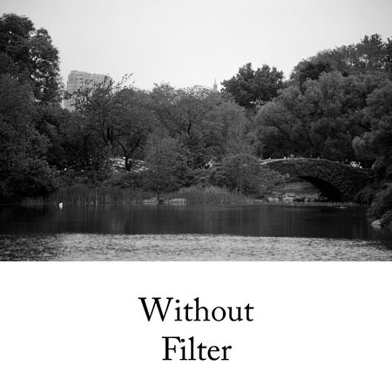 HOYA HMC K2 49mm Lens Filter (Yellow)â€“ Tonal Enhancing Camera Filter for B&W Photography with Slim Aluminum Frame, Multi-Coated Optical Glass, Reduces Flare & Ghosting, Improves Contrast & Clarity - Image 2