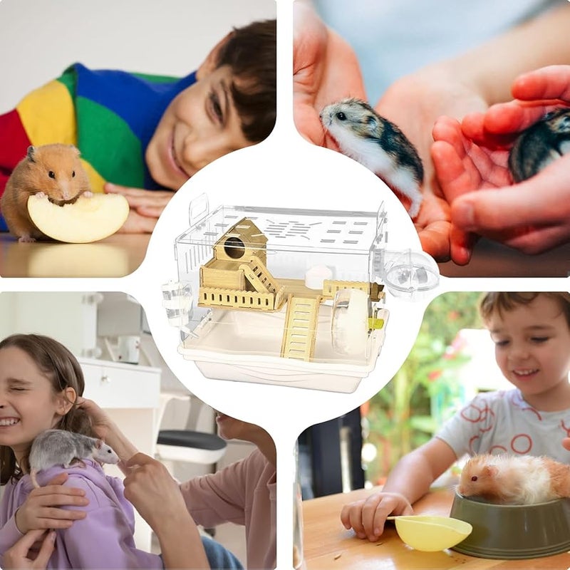 قفص الهامستر الأكريليك الشفاف، موطن الحيوانات الأليفة الصغيرة جيد التهوية، منزل للمراقبة - Image 4