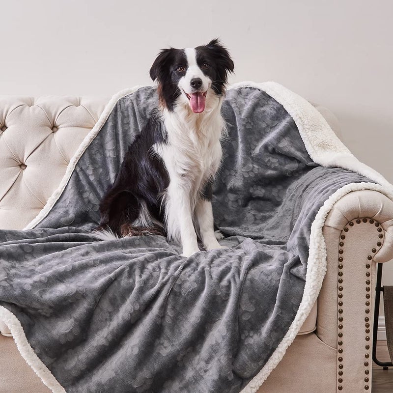Qeils Dog Blankets for Large Dogs Waterproof Cat Blanket Washable Sherpa Fleece Puppy Blanket Soft Plush Reversible Throw Protector for Bed Couch Car Sofa 60X80 Dark Grey