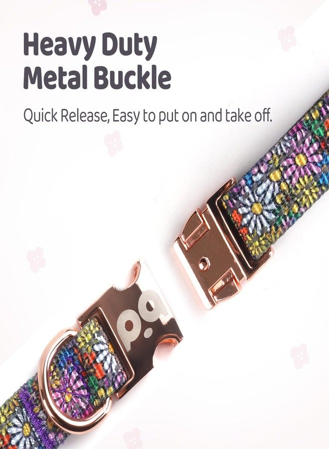 كيوكيو بيتس طوق كلاب عاكس من QQPETS مزود بإبزيم معدني، طوق نايلون قابل للتعديل، هدية مثالية للكلاب الصغيرة والمتوسطة والكبيرة من الجنسين. - Image 3