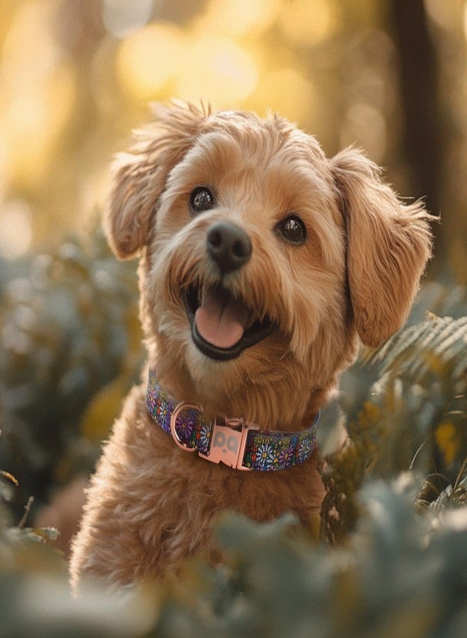 كيوكيو بيتس طوق كلاب عاكس من QQPETS مزود بإبزيم معدني، طوق نايلون قابل للتعديل، هدية مثالية للكلاب الصغيرة والمتوسطة والكبيرة من الجنسين. - Image 2