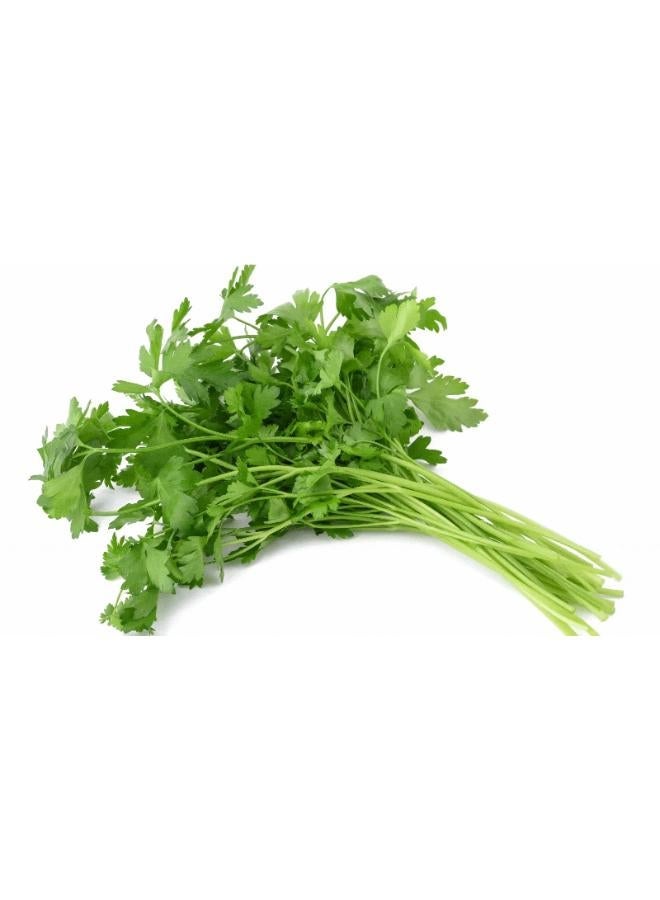 Parsley Seeds - Image 2
