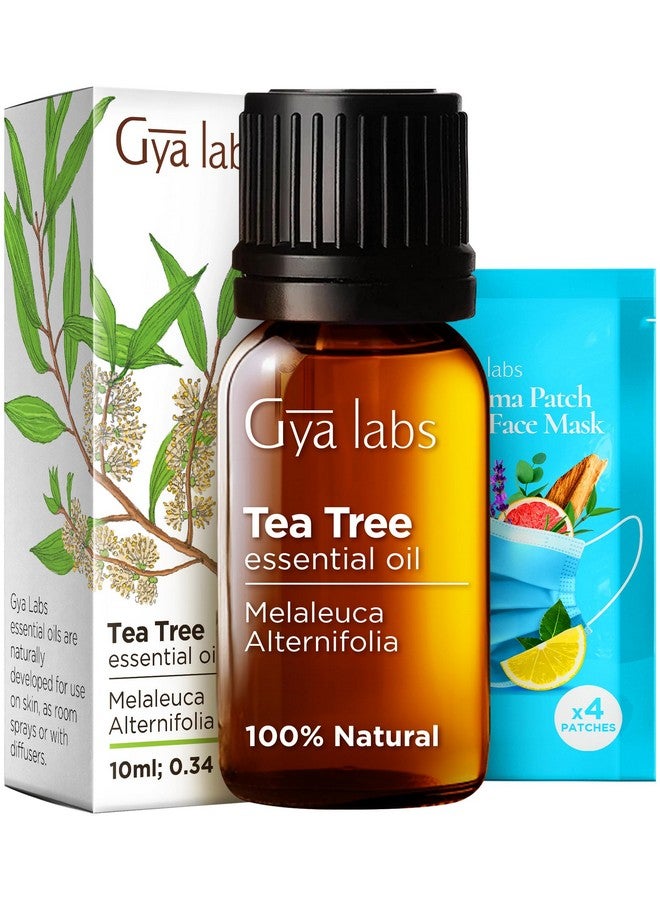 gya labs Gya Labs Australian Tea Tree Oil for Skin Hair Face & Toenails - 100% Natural Melaleuca Oil Tea Tree Essential Oil for Piercings Scalp Hair & Candle Making Scent - 100% Pure Oils (0.34 fl oz) - Image 1