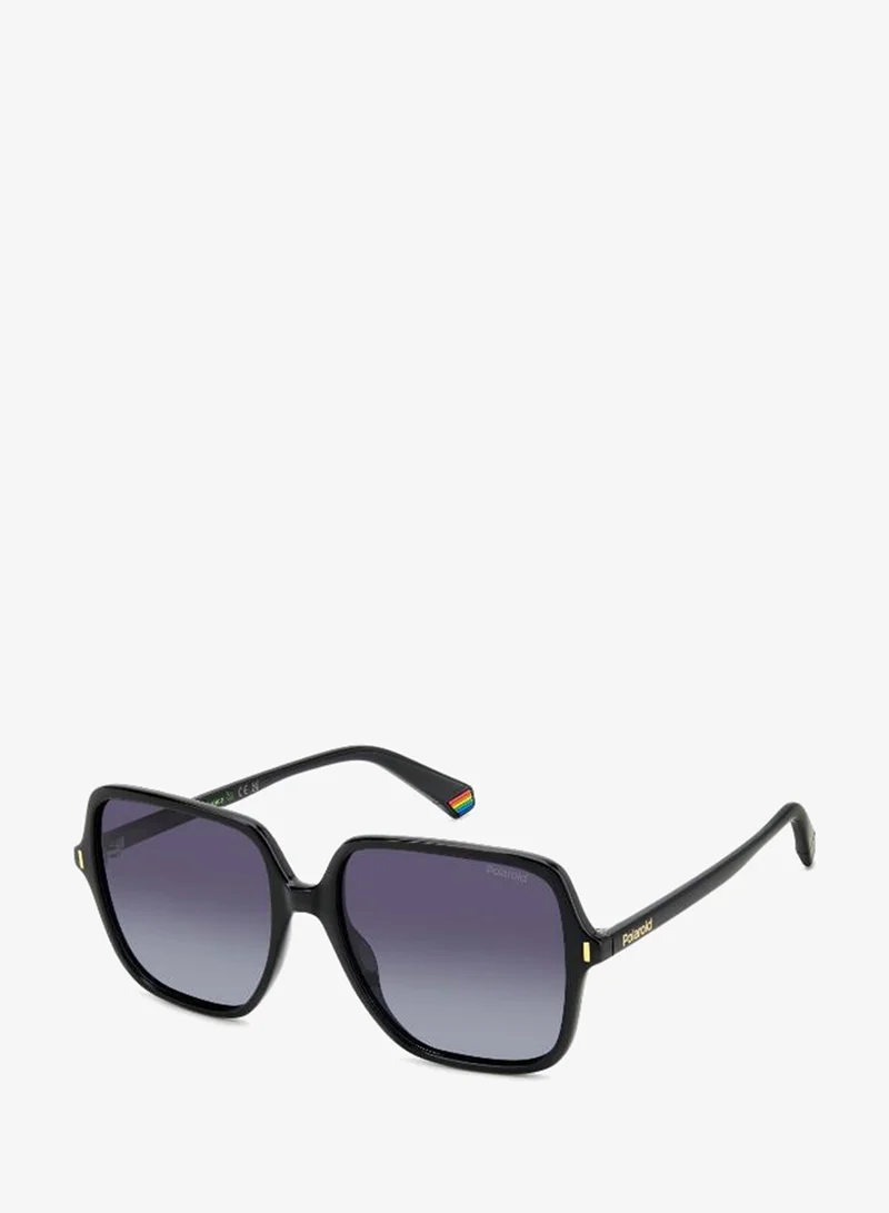 Polaroid  Square Sunglasses for Women | Best Price UAE