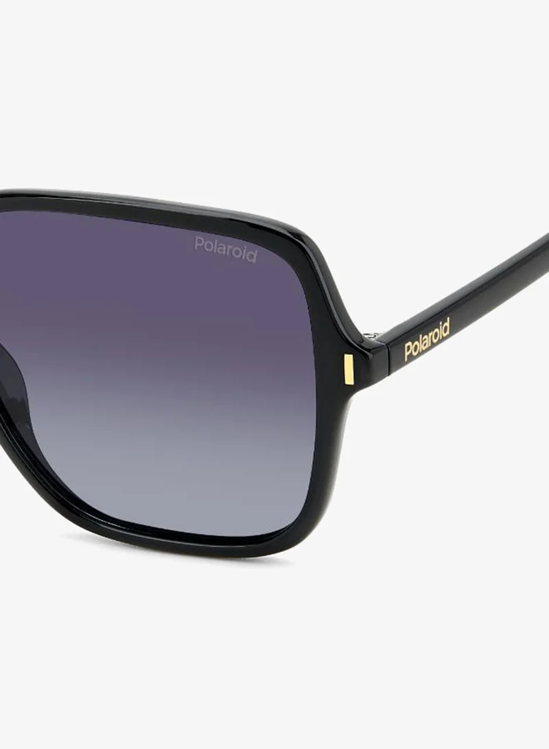 Polaroid  Square Sunglasses for Women | Best Price UAE