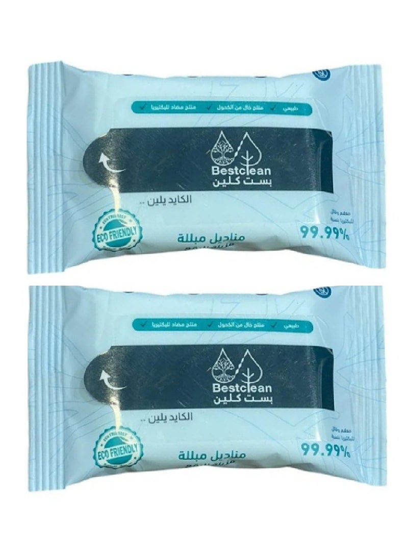 Bestclean Stain Remover Wet Wipes - 2pieces - Image 1