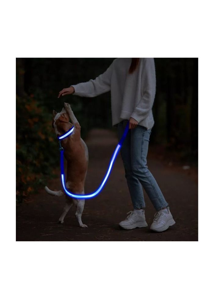 طوق حيوانات أليفة مضيء قابل لإعادة الشحن عبر USB لرؤية ليلية فائقة - Image 2