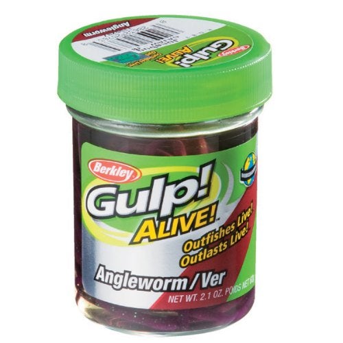 Berkley Gulp! Alive!® Angle Worm, Red Wiggler, 1- Inch - Image 2